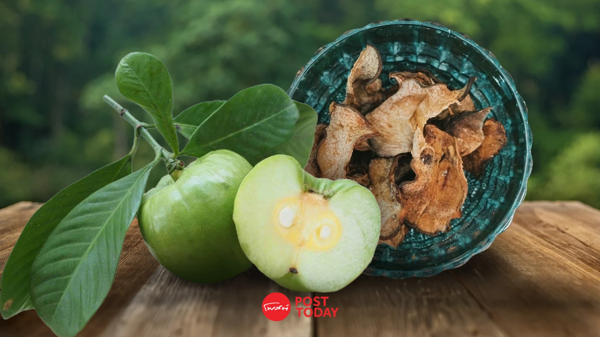 พาณิชย์ ขึ้นทะเบียน "ส้มควายภูเก็ต" สินค้า GI รายการใหม่ พาณิชย์ ขึ้นทะเบียน "ส้มควายภูเก็ต" สินค้า GI รายการใหม่