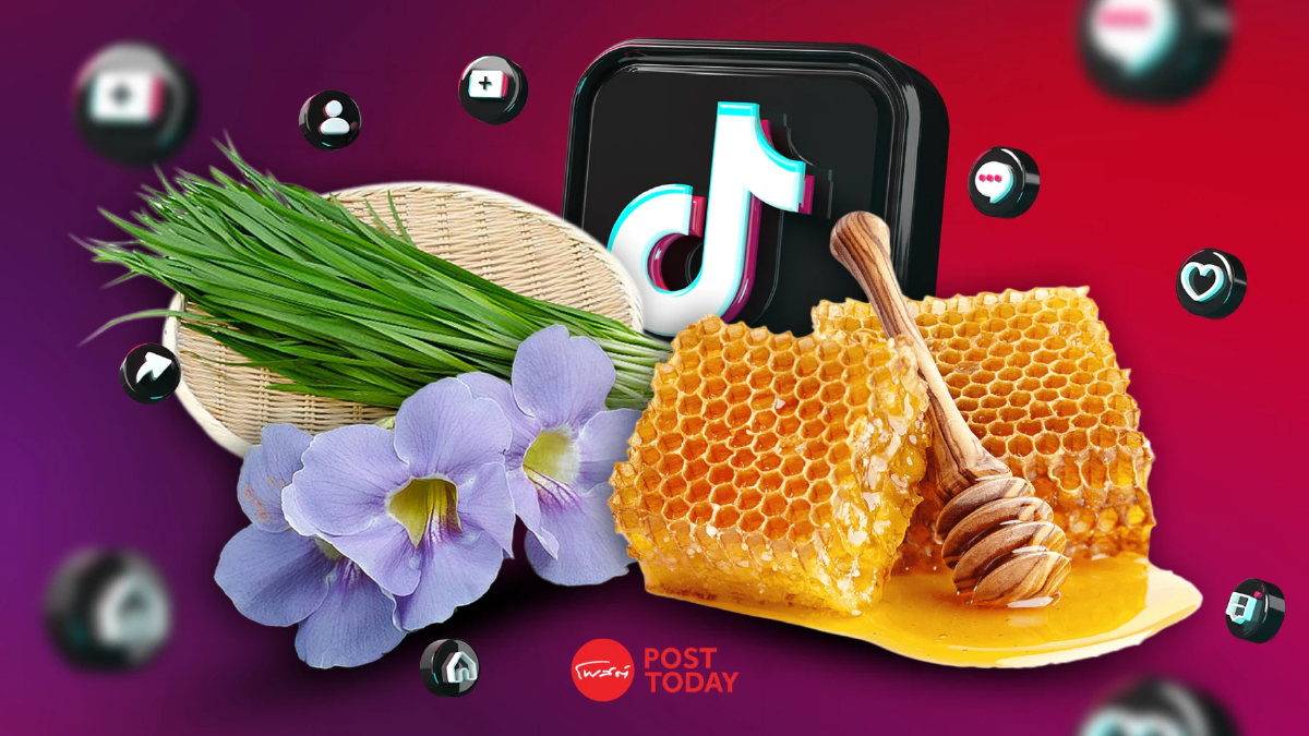 น้ำผึ้ง-รางจืด-กุยช่ายกรอบ ขึ้นแท่น Top 3 ขายดีบน TikTok Shop น้ำผึ้ง-รางจืด-กุยช่ายกรอบ ขึ้นแท่น Top 3 ขายดีบน TikTok Shop