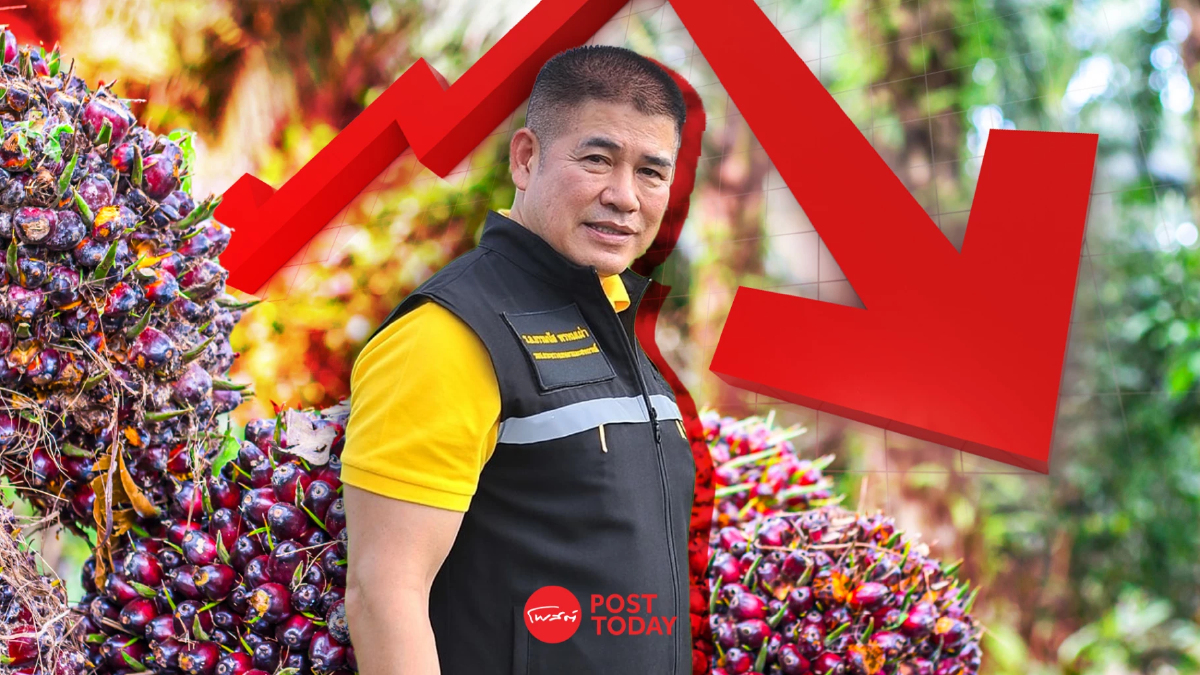 'ธรรมนัส'รมว.เกษตรฯสั่งแก้ปมราคาน้ำมันปาล์มตกต่ำ 'ธรรมนัส'รมว.เกษตรฯสั่งแก้ปมราคาน้ำมันปาล์มตกต่ำ