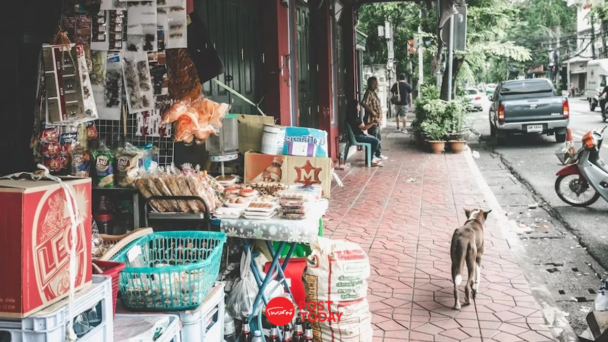 "สมาร์ทโชห่วย" ยกระดับร้านค้ารายย่อย ขับเคลื่อนเศรษฐกิจท้องถิ่น "สมาร์ทโชห่วย" ยกระดับร้านค้ารายย่อย ขับเคลื่อนเศรษฐกิจท้องถิ่น