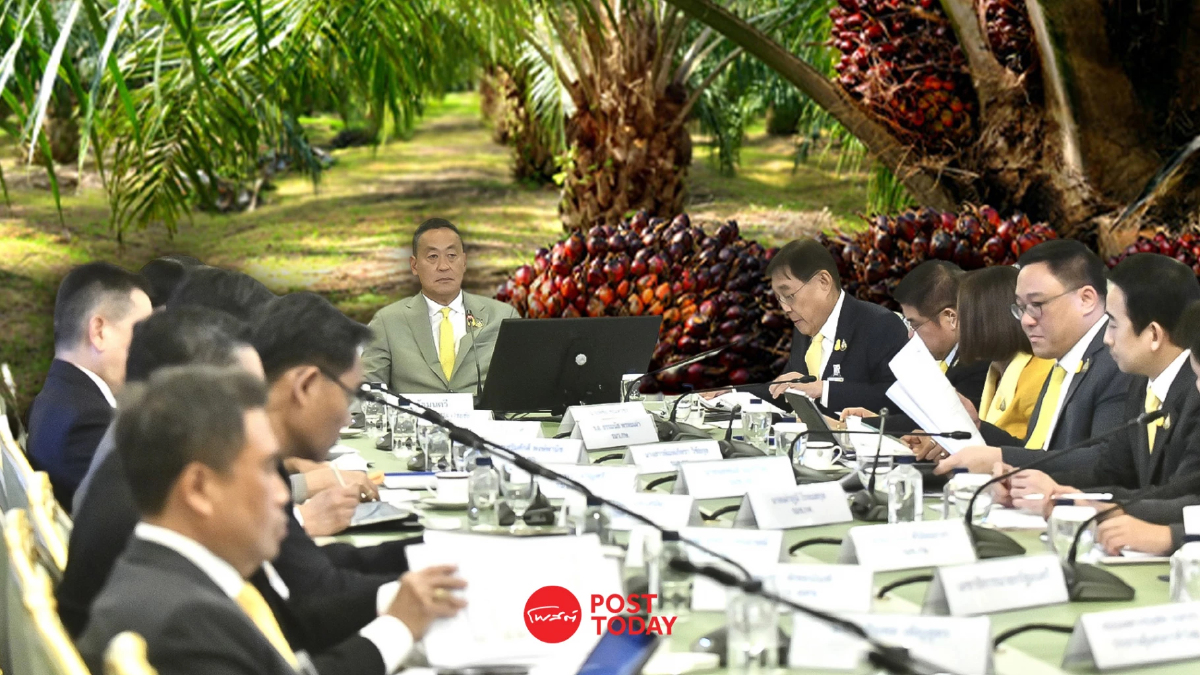 ครม.ศก.แก้ราคาน้ำมันปาล์มตกต่ำกำชับเด็ดขาดซื้อB100ห้ามมีส่วนลด ครม.ศก.แก้ราคาน้ำมันปาล์มตกต่ำกำชับเด็ดขาดซื้อB100ห้ามมีส่วนลด