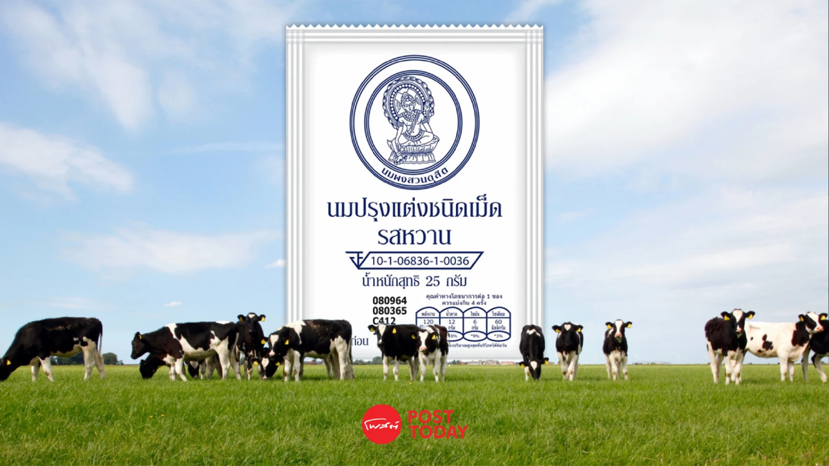 เปิดประวัติ นมอัดเม็ดจิตรลดา ก่อนจะมาเป็นของฝากยอดฮิตของคนจีน เปิดประวัติ นมอัดเม็ดจิตรลดา ก่อนจะมาเป็นของฝากยอดฮิตของคนจีน