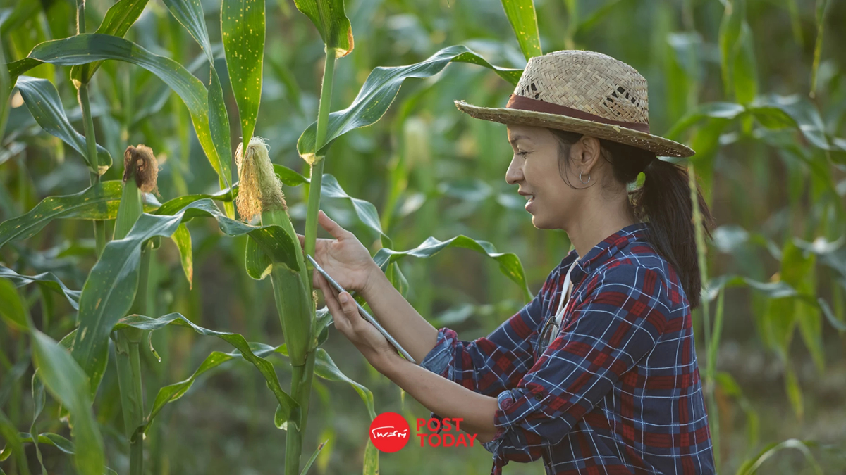 แอป FarmPro หนุนเกษตรรายย่อยลดต้นทุน 20% แอป FarmPro หนุนเกษตรรายย่อยลดต้นทุน 20%