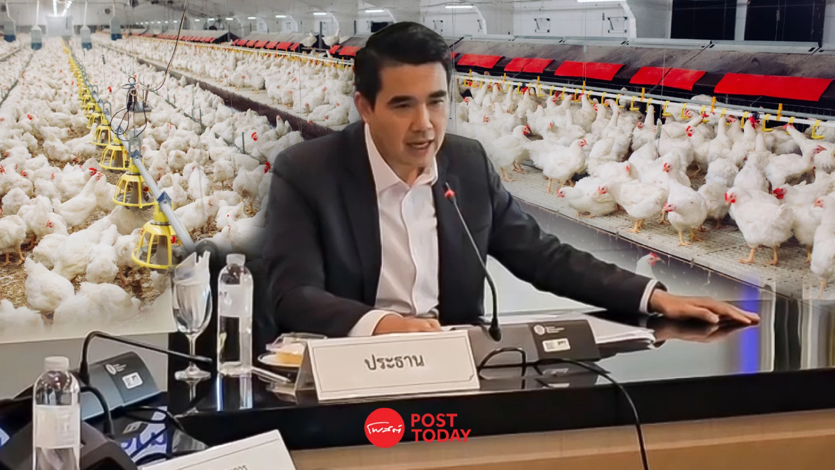 "กรมการค้าภายใน"แจงภาวะโลกร้อนส่งผลกระทบไก่โตช้าดันราคาพุ่ง "กรมการค้าภายใน"แจงภาวะโลกร้อนส่งผลกระทบไก่โตช้าดันราคาพุ่ง