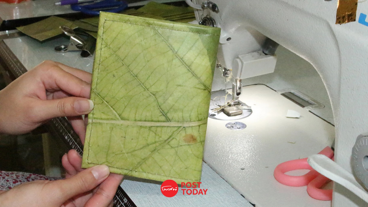 Mr. Leaf แปรรูปใบไม้ที่ร่วงหล่น สู่สินค้ารักษ์โลก Mr. Leaf แปรรูปใบไม้ที่ร่วงหล่น สู่สินค้ารักษ์โลก