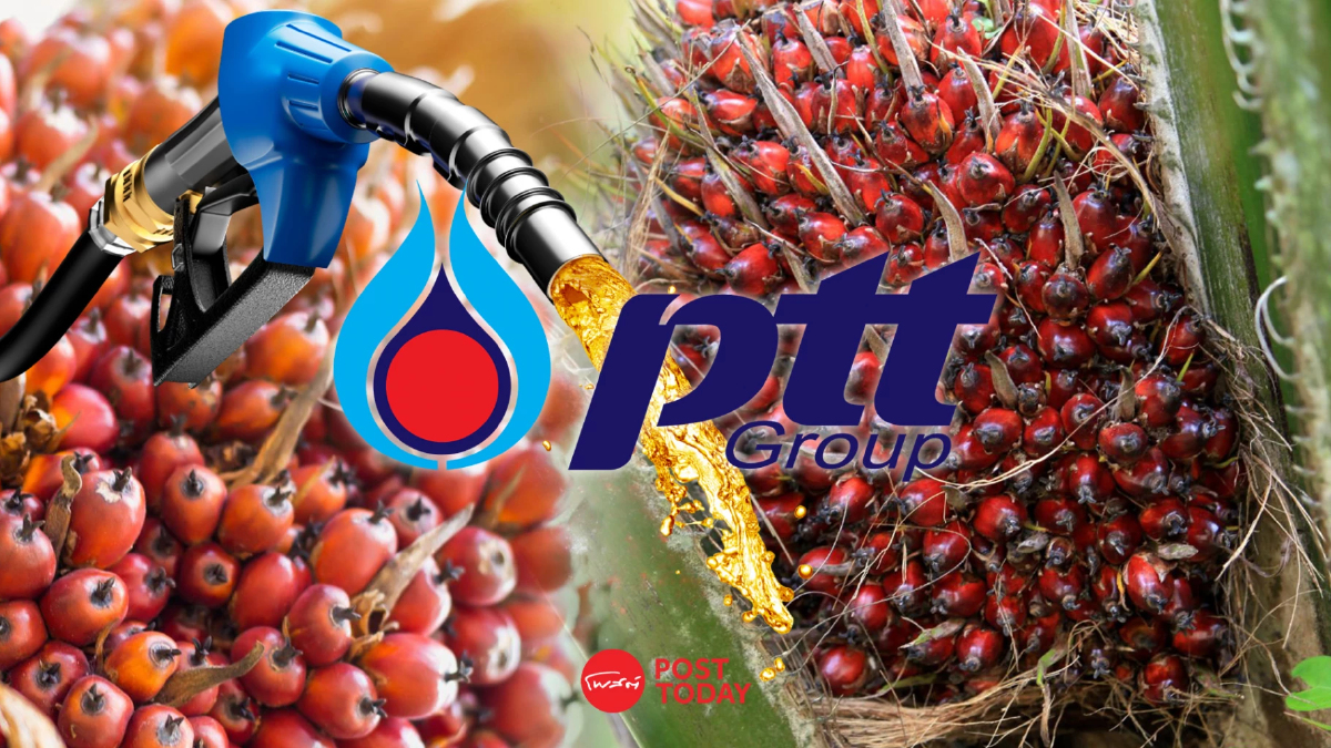 เกาะติดแก้ราคาปาล์มพรุ่งนี้ ครม.จี้ ปตท.ซื้อ B100 ตามราคาประกาศ เกาะติดแก้ราคาปาล์มพรุ่งนี้ ครม.จี้ ปตท.ซื้อ B100 ตามราคาประกาศ