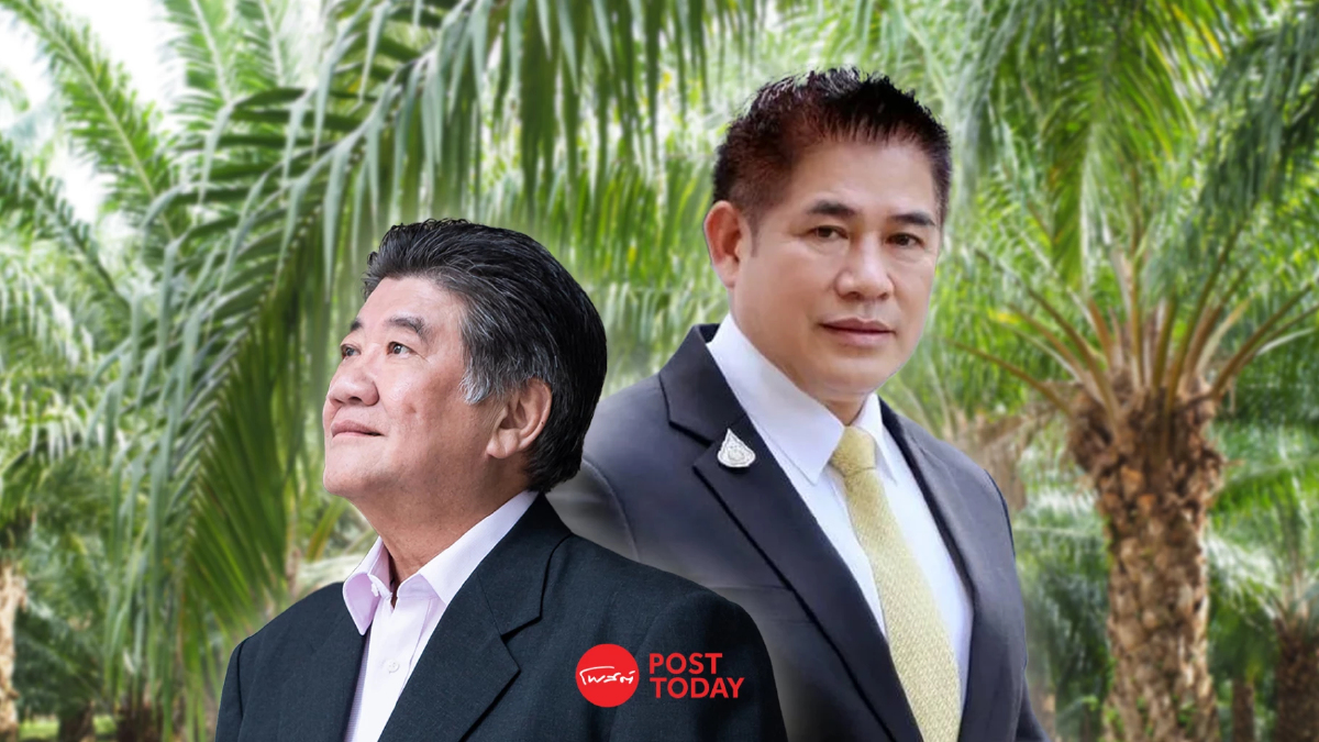 กนป.เคาะแก้ปาล์มทั้งระบบ สางปมกดราคารับซื้อ-สกัดปาล์มข้ามชาติ กนป.เคาะแก้ปาล์มทั้งระบบ สางปมกดราคารับซื้อ-สกัดปาล์มข้ามชาติ
