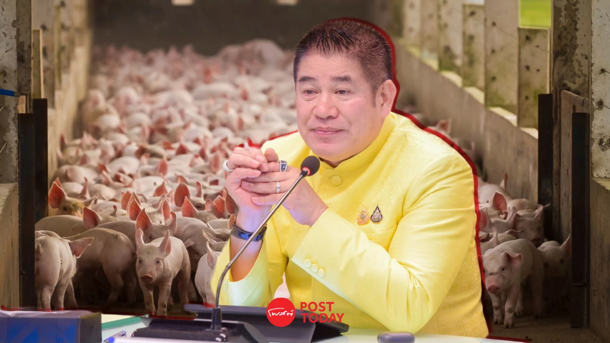 Pig Board เคาะลดแม่พันธุ์หมู รักษาราคาหน้าฟาร์ม Pig Board เคาะลดแม่พันธุ์หมู รักษาราคาหน้าฟาร์ม