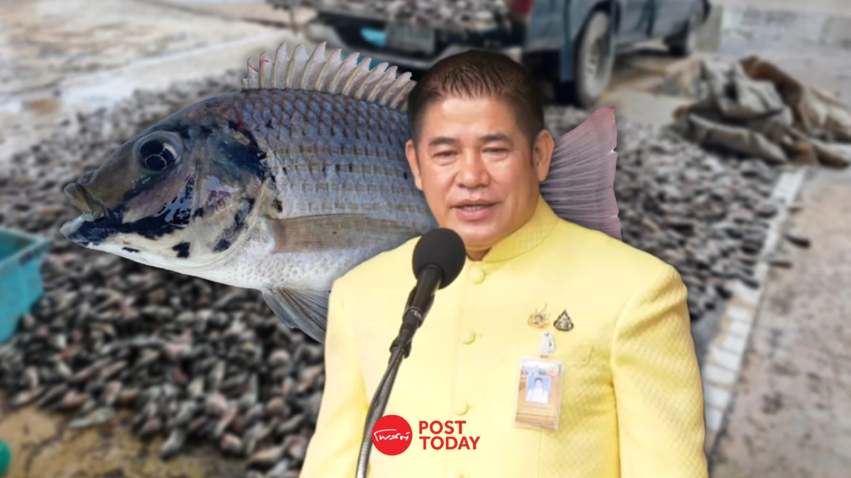 5มาตรการแก้ปลาหมอคางดำได้ผล"ธรรมนัส"เผยประมงพื้นบ้านบ่นหายาก 5มาตรการแก้ปลาหมอคางดำได้ผล"ธรรมนัส"เผยประมงพื้นบ้านบ่นหายาก