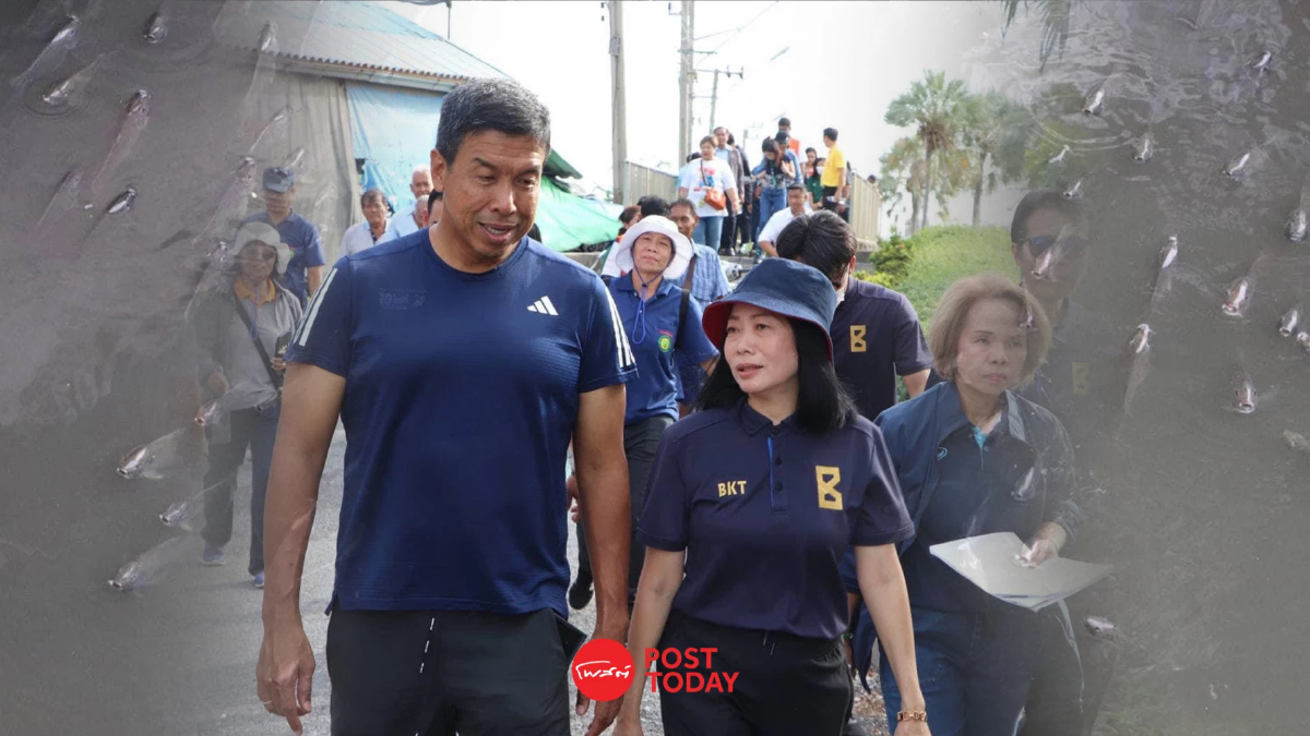 กทม.ผนึกกำลังกรมประมง ลุยกำจัดปลาหมอคางดำ กทม.ผนึกกำลังกรมประมง ลุยกำจัดปลาหมอคางดำ