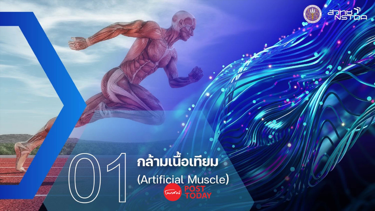 ยุคของ AI และเทคโนโลยีด้านสุขภาพ เทรนด์โลกในอีก 5-10 ปีข้างหน้า ยุคของ AI และเทคโนโลยีด้านสุขภาพ เทรนด์โลกในอีก 5-10 ปีข้างหน้า
