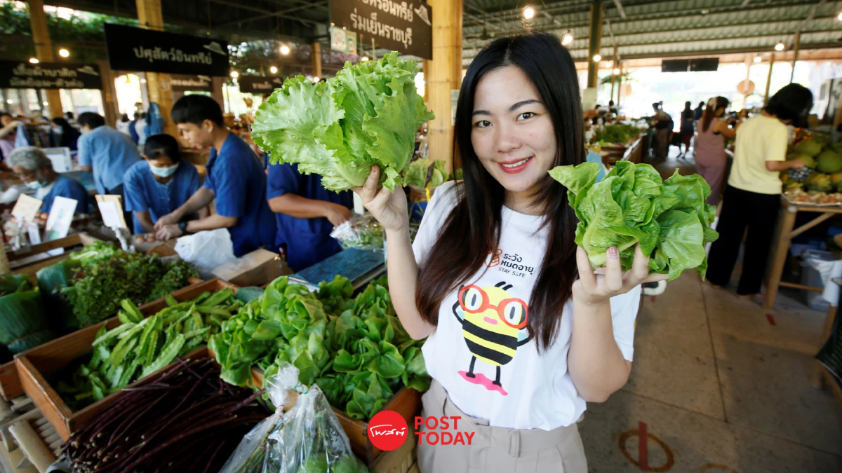 สมาคมผู้บริโภคอินทรีย์ไทย จับมือ ททท. ส่งเสริม “ท่องเที่ยววิถีอินทรีย์” สมาคมผู้บริโภคอินทรีย์ไทย จับมือ ททท. ส่งเสริม “ท่องเที่ยววิถีอินทรีย์”