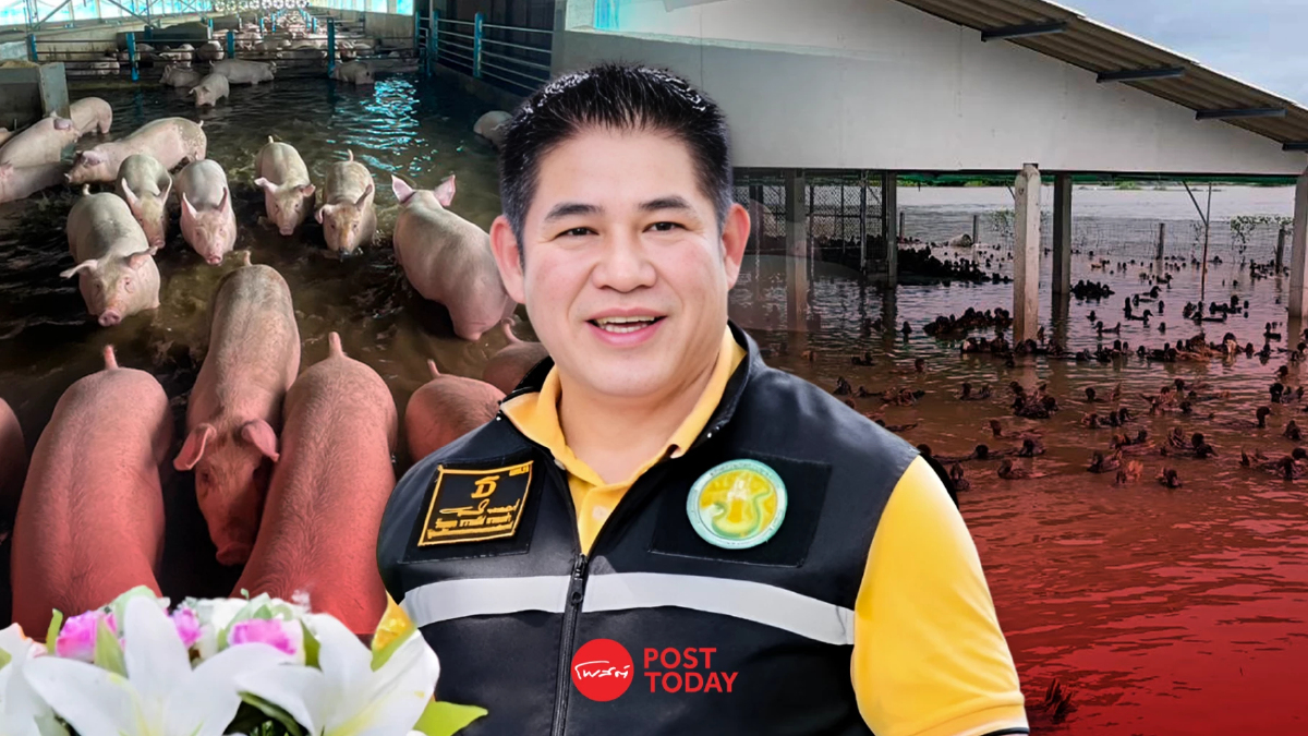 กางหลักเกณฑ์เยียวยา กรมปศุสัตว์ ช่วยเกษตรกรประสบภัยน้ำท่วม กางหลักเกณฑ์เยียวยา กรมปศุสัตว์ ช่วยเกษตรกรประสบภัยน้ำท่วม