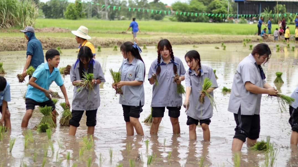 ‘กรมการข้าว’ ยกระดับศูนย์ข้าวชุมชน กระจายเมล็ดพันธ์คุณภาพดีถึงชาวนา ‘กรมการข้าว’ ยกระดับศูนย์ข้าวชุมชน กระจายเมล็ดพันธ์คุณภาพดีถึงชาวนา