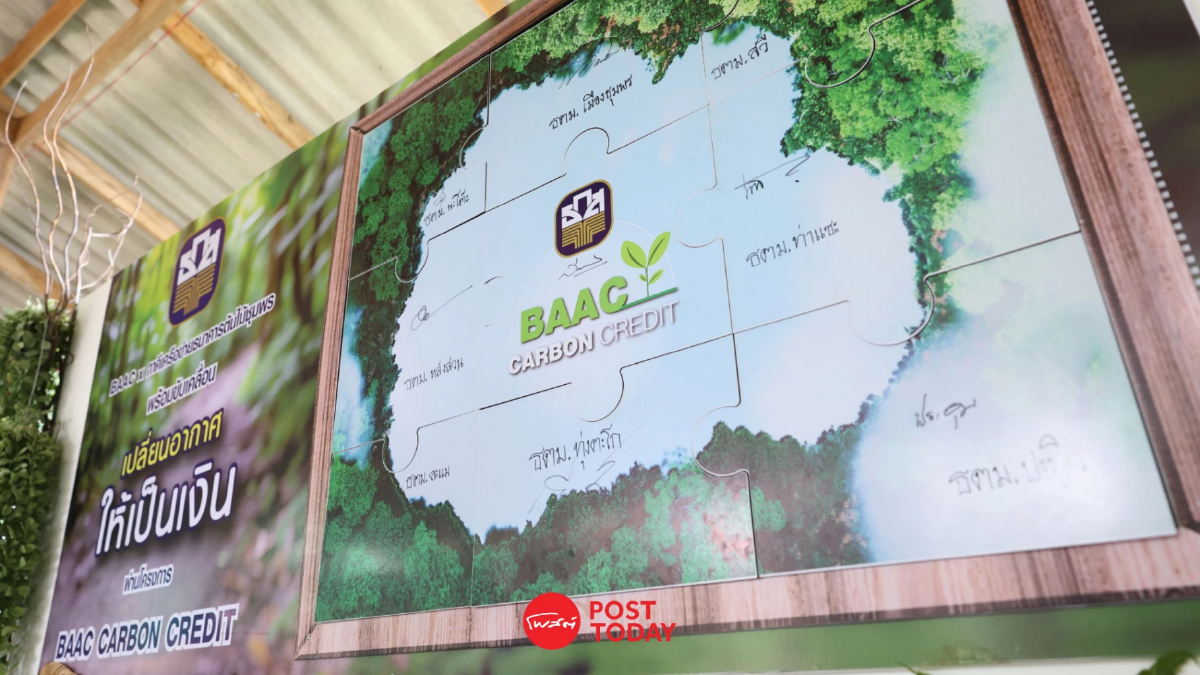 อีกแห่ง! ธ.ก.ส.จ่อซื้อคาร์บอนเครดิต ราคาสูงสุดในประวัติศาสตร์ ที่ชุมพร อีกแห่ง! ธ.ก.ส.จ่อซื้อคาร์บอนเครดิต ราคาสูงสุดในประวัติศาสตร์ ที่ชุมพร