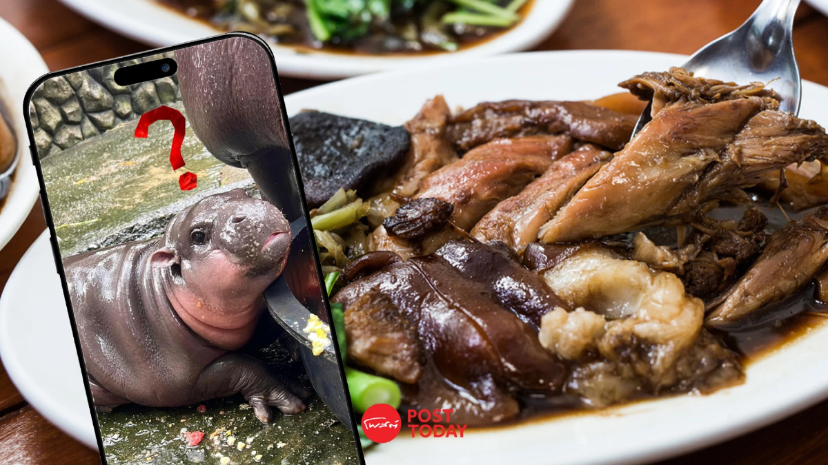 "หมูเด้ง" สร้างเรื่อง กระตุ้นต่อมหิวชาวเน็ต ยอดสั่งข้าวขาหมูพุ่ง 50% "หมูเด้ง" สร้างเรื่อง กระตุ้นต่อมหิวชาวเน็ต ยอดสั่งข้าวขาหมูพุ่ง 50%