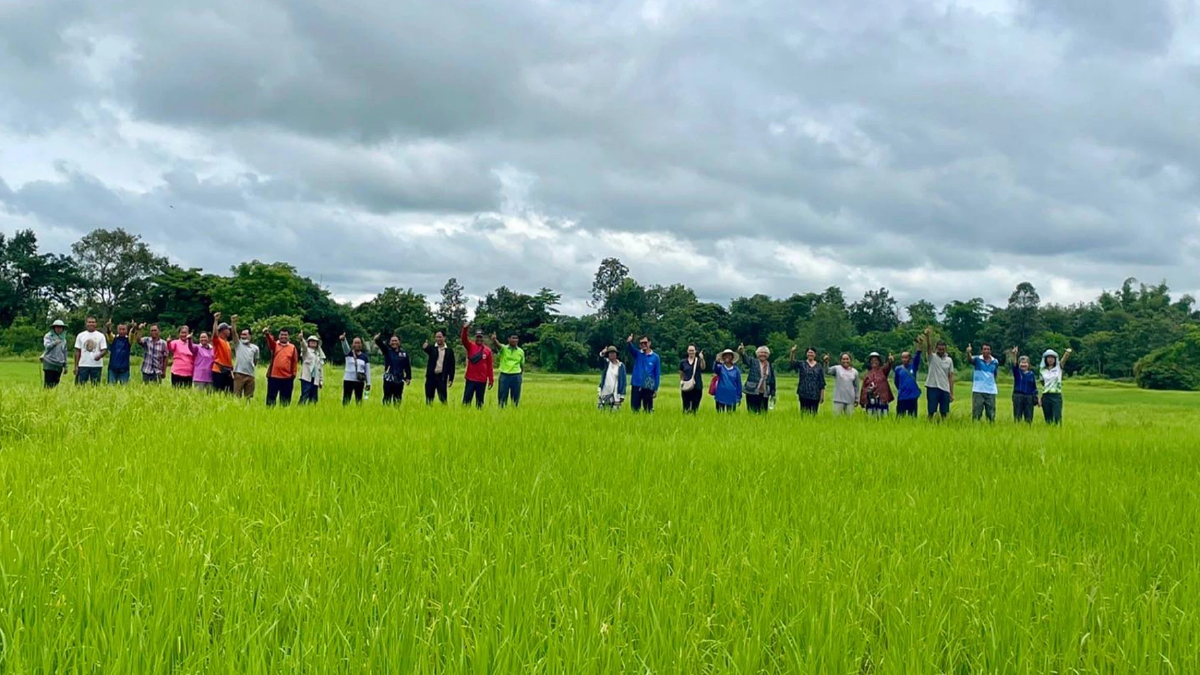 ศูนย์ข้าวชุมชนหนุนใช้เทคโนโลยี เพิ่มผลผลิตลดต้นทุนมีคุณภาพ ศูนย์ข้าวชุมชนหนุนใช้เทคโนโลยี เพิ่มผลผลิตลดต้นทุนมีคุณภาพ