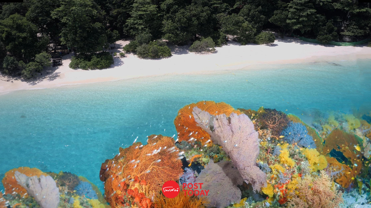 อุทยานแห่งชาติหมู่เกาะสิมิลัน พร้อมเปิดรับนักท่องเที่ยว 15 ต.ค.นี้ อุทยานแห่งชาติหมู่เกาะสิมิลัน พร้อมเปิดรับนักท่องเที่ยว 15 ต.ค.นี้