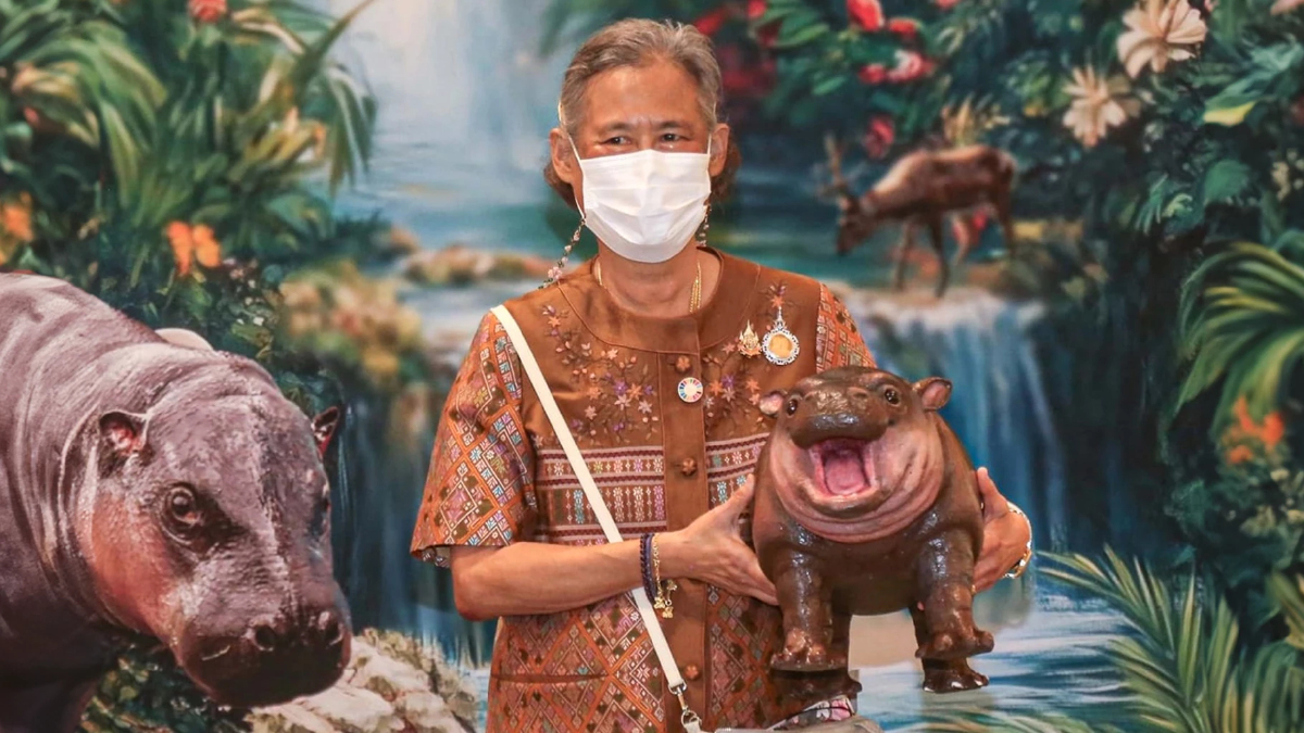 กรมสมเด็จพระเทพฯ ทรงอุ้มโมเดลหมูเด้ง ฉายพระฉายาลักษณ์ กรมสมเด็จพระเทพฯ ทรงอุ้มโมเดลหมูเด้ง ฉายพระฉายาลักษณ์