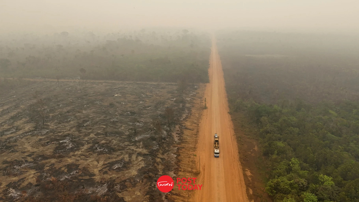 COP 29 คาดการปล่อยก๊าซคาร์บอนไดออกไซด์ จะสูงสุดเป็นประวัติการณ์ในปี 2567 COP 29 คาดการปล่อยก๊าซคาร์บอนไดออกไซด์ จะสูงสุดเป็นประวัติการณ์ในปี 2567