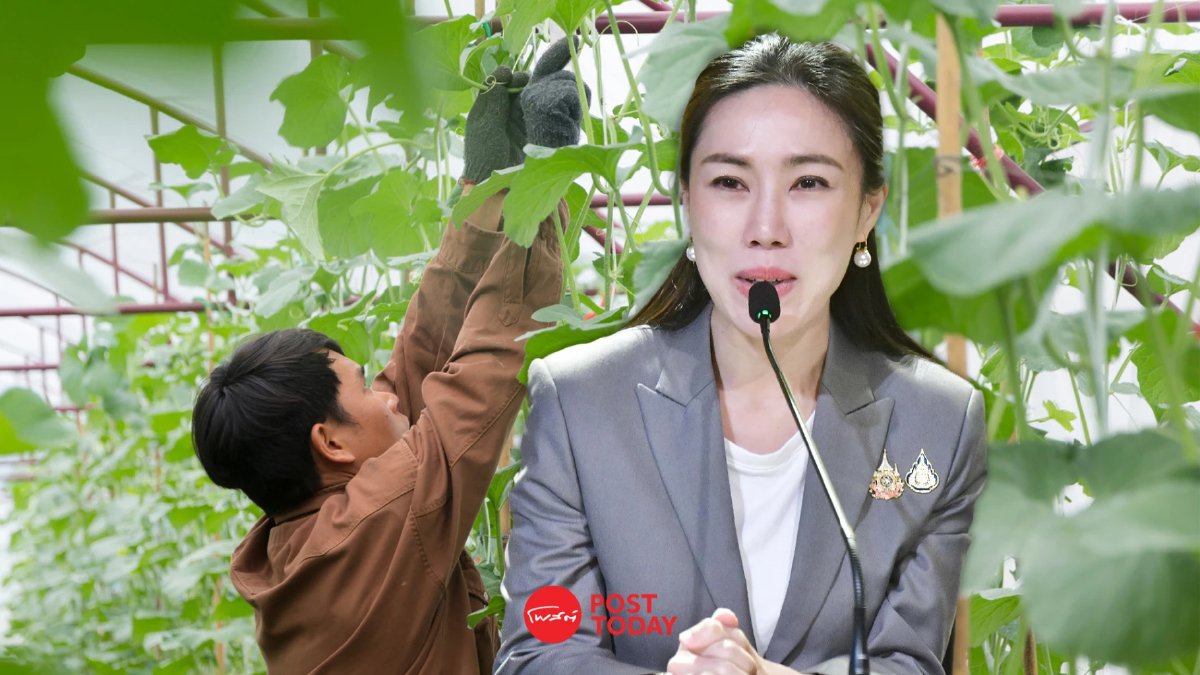 รัฐบาล สั่ง ธกส.ปล่อยกู้ เกษตรกรรุ่นใหม่ วงเงินรวม 10,000 ล้านบาท รัฐบาล สั่ง ธกส.ปล่อยกู้ เกษตรกรรุ่นใหม่ วงเงินรวม 10,000 ล้านบาท