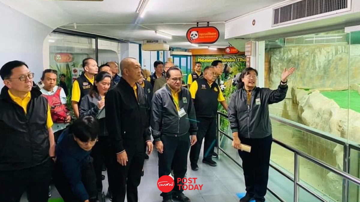"ดร.เฉลิมชัย"ลงพื้นที่สวนสัตว์เชียงใหม่เตรียมรับหมีแพนด้าคู่ใหม่ "ดร.เฉลิมชัย"ลงพื้นที่สวนสัตว์เชียงใหม่เตรียมรับหมีแพนด้าคู่ใหม่
