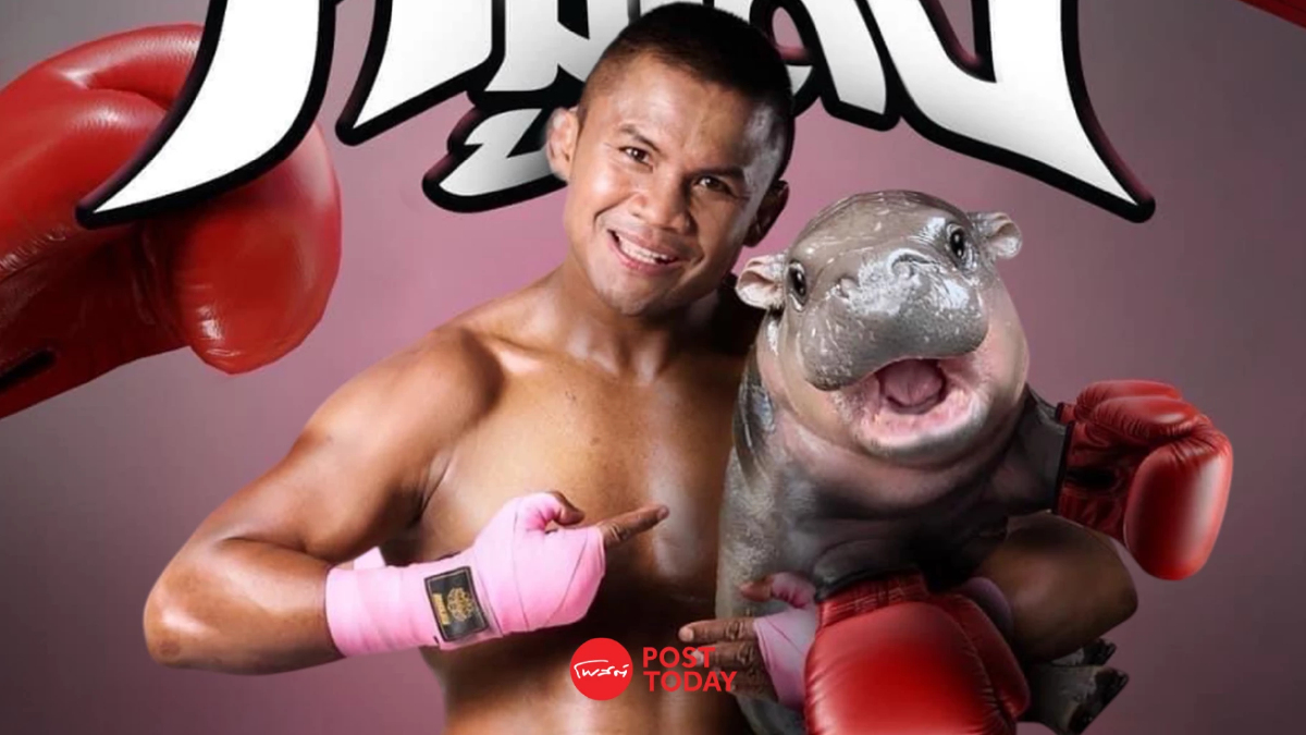 "หมูเด้ง X บัวขาว" ผนึกกำลัง Soft Power ไทย เปิดประมูลกางเกงมวยช่วยน้ำท่วม "หมูเด้ง X บัวขาว" ผนึกกำลัง Soft Power ไทย เปิดประมูลกางเกงมวยช่วยน้ำท่วม