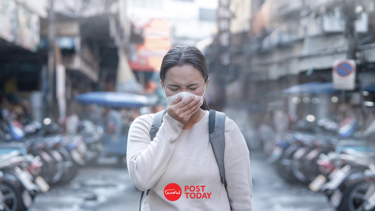 'ส้มทั้งกทม.' PM 2.5 วันนี้เสี่ยงต่อสุขภาพถ้วนหน้า แนะใส่หน้ากากอนามัย 'ส้มทั้งกทม.' PM 2.5 วันนี้เสี่ยงต่อสุขภาพถ้วนหน้า แนะใส่หน้ากากอนามัย