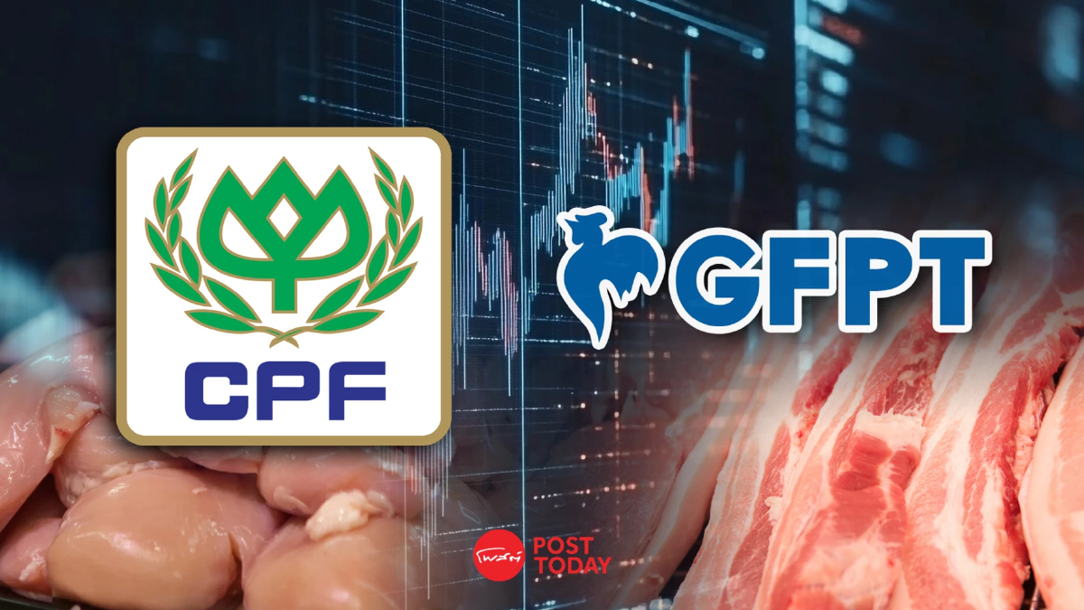 CPF - GFPT บวกสดใสรับต้นทุนอาหารสัตว์ลดลง-ราคาหมูพุ่ง CPF - GFPT บวกสดใสรับต้นทุนอาหารสัตว์ลดลง-ราคาหมูพุ่ง