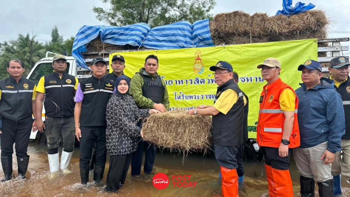 กรมปศุสัตว์ เร่งแจกจ่ายเสบียง-เวชภัณฑ์ ช่วยสัตว์เจอน้ำท่วมภาคใต้ กรมปศุสัตว์ เร่งแจกจ่ายเสบียง-เวชภัณฑ์ ช่วยสัตว์เจอน้ำท่วมภาคใต้