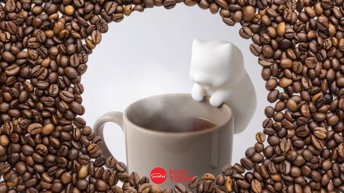 “Nekojita FuFu” หุ่นน้องแมวเกาะถ้วย ช่วยเป่าอาหารร้อน ลด 17 องศาใน 3 นาที! “Nekojita FuFu” หุ่นน้องแมวเกาะถ้วย ช่วยเป่าอาหารร้อน ลด 17 องศาใน 3 นาที!