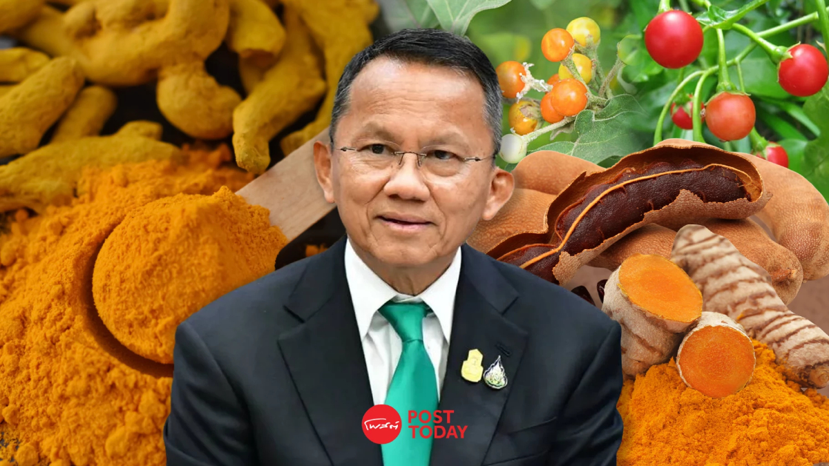'5 ตัวยาแผนไทย' สาธารณสุขดันใช้แทนแผนปัจจุบันในสิทธิบัตรทอง '5 ตัวยาแผนไทย' สาธารณสุขดันใช้แทนแผนปัจจุบันในสิทธิบัตรทอง