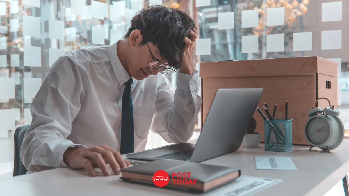 สำรวจพบ ‘เด็กจบใหม่’ หางานยาก 80% ของตลาดเปิดรับแต่คนมีประสบการณ์ 1-2 ปี สำรวจพบ ‘เด็กจบใหม่’ หางานยาก 80% ของตลาดเปิดรับแต่คนมีประสบการณ์ 1-2 ปี