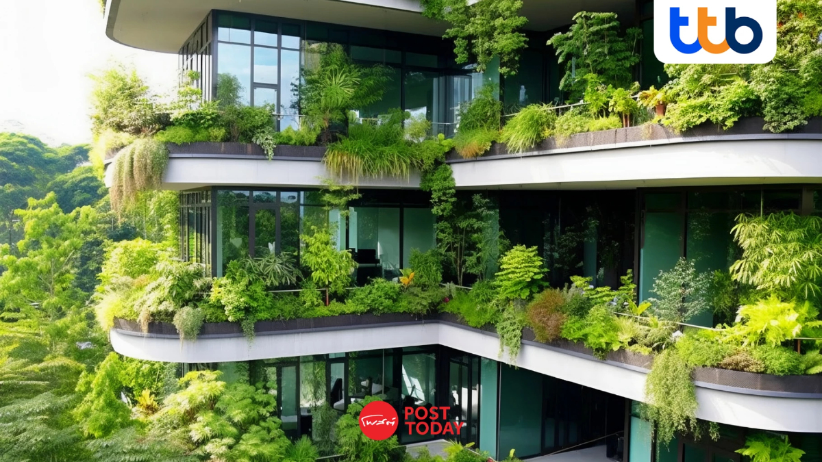 Green Hotel โรงแรมสีเขียว เทรนด์มาแรง “สายกรีน” ยุคใหม่ พร้อมจ่ายแพงกว่า! Green Hotel โรงแรมสีเขียว เทรนด์มาแรง “สายกรีน” ยุคใหม่ พร้อมจ่ายแพงกว่า!