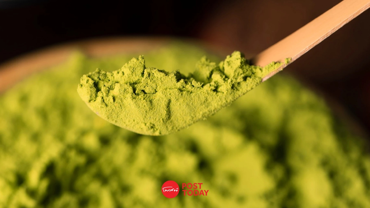 โซเชียลจุดกระแส Matcha Lover จนขาดตลาด แล้วแบรนด์ไทยมีเจ้าไหนผลิตบ้าง? โซเชียลจุดกระแส Matcha Lover จนขาดตลาด แล้วแบรนด์ไทยมีเจ้าไหนผลิตบ้าง?