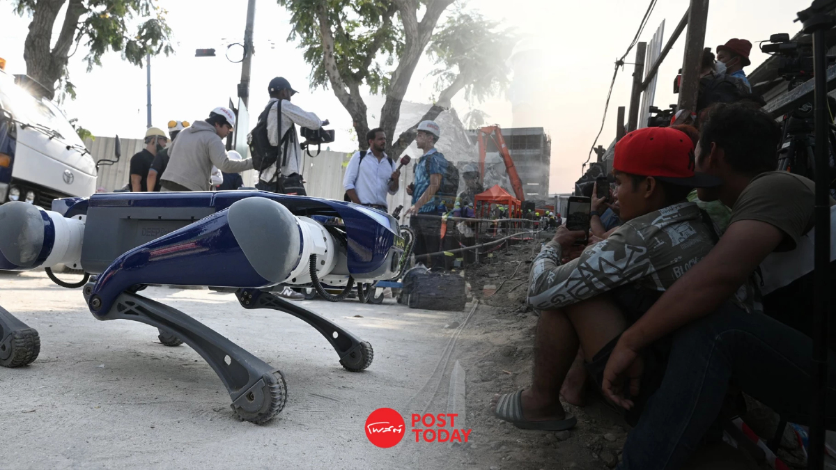 รู้จัก iRAP Robot ทีมหุ่นยนต์กู้ภัย มจพ. เทคโนโลยีไทย ช่วยตึกถล่ม รู้จัก iRAP Robot ทีมหุ่นยนต์กู้ภัย มจพ. เทคโนโลยีไทย ช่วยตึกถล่ม