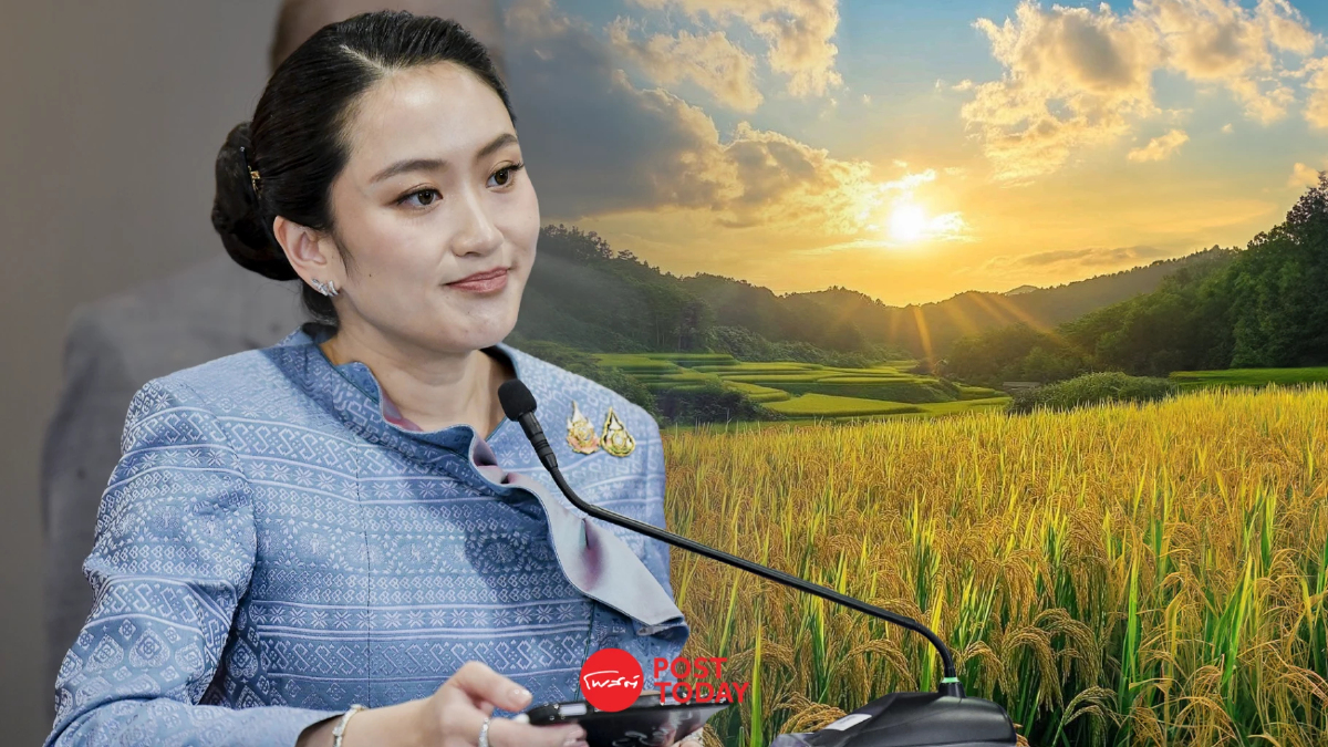 ครม.เคาะยุทธศาสตร์ฟ้าใสร่วมเมียนมา-ลาวป้องกันหมอกควันข้ามแดน ครม.เคาะยุทธศาสตร์ฟ้าใสร่วมเมียนมา-ลาวป้องกันหมอกควันข้ามแดน