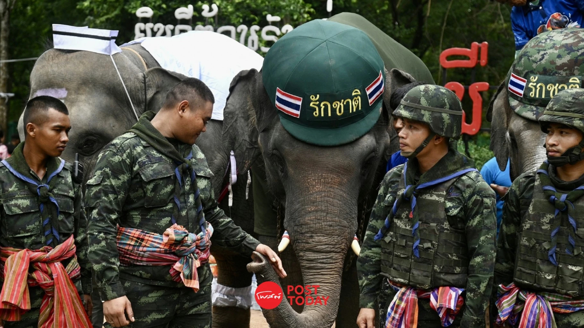 “ณัฐพล” นำช้าง 4 เชือก ให้กำลังใจทหารที่ "ปราสาทตาเมือนธม" “ณัฐพล” นำช้าง 4 เชือก ให้กำลังใจทหารที่ "ปราสาทตาเมือนธม"