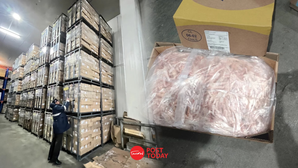 จับลักลอบ 'ขาไก่เถื่อน' กว่า 346 ตันจากบราซิล แหล่งระบาดไข้หวัดนก จับลักลอบ 'ขาไก่เถื่อน' กว่า 346 ตันจากบราซิล แหล่งระบาดไข้หวัดนก