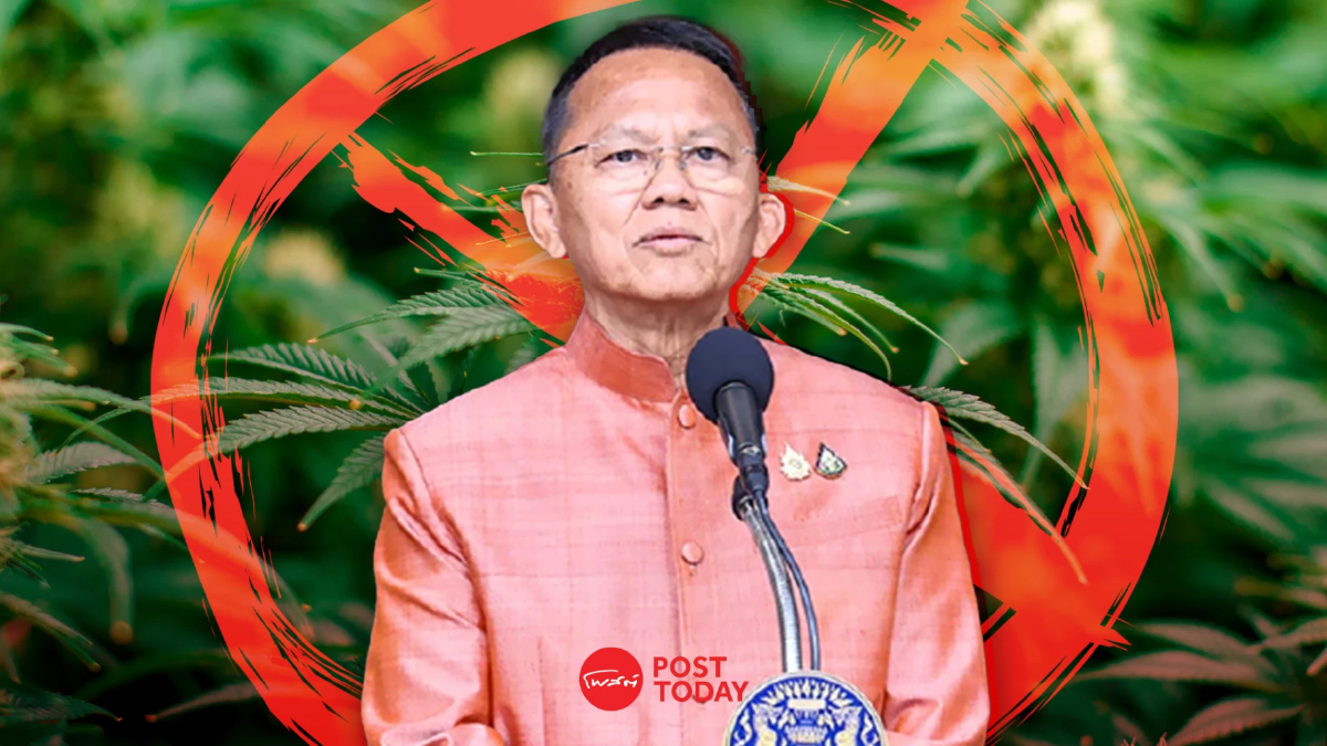 ไทย 'กัญชาไม่เสรี' อีกแล้ว! ครม.ปรับนโยบายใช้การแพทย์เท่านั้น ไทย 'กัญชาไม่เสรี' อีกแล้ว! ครม.ปรับนโยบายใช้การแพทย์เท่านั้น