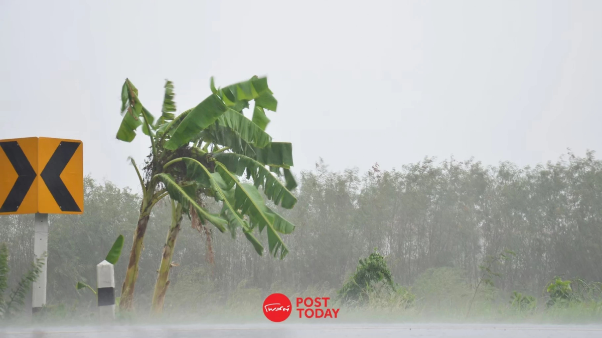 กรมอุตุฯเตือน ฝนถล่มเหนือ-อีสาน-ตะวันออก ระวังน้ำท่วมฉับพลัน กรมอุตุฯเตือน ฝนถล่มเหนือ-อีสาน-ตะวันออก ระวังน้ำท่วมฉับพลัน