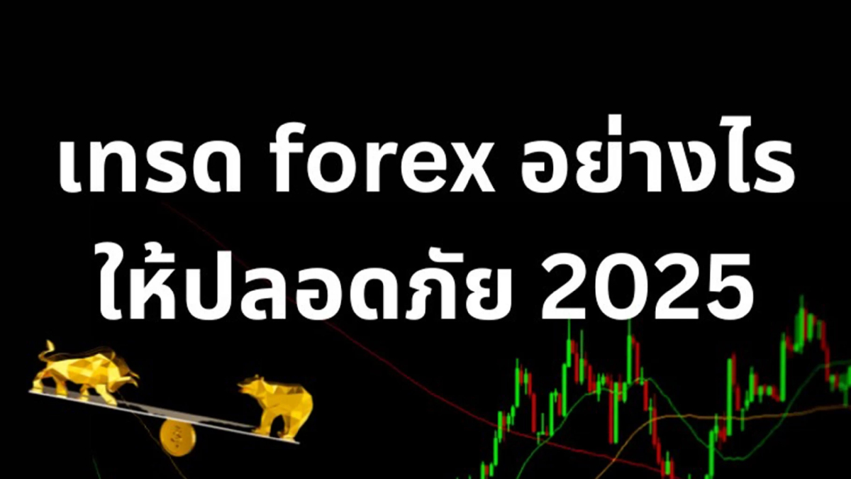 เทรดฟอเร็กซ์อย่างปลอดภัย มือใหม่ต้องรู้ก่อนลงทุน 2025 เทรดฟอเร็กซ์อย่างปลอดภัย มือใหม่ต้องรู้ก่อนลงทุน 2025
