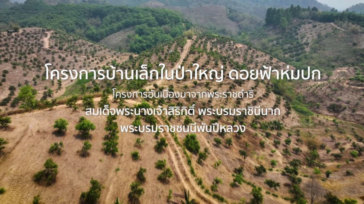 กรมพัฒนาที่ดิน พลิกชีวิตเกษตรกรด้วยบ้านเล็กในป่าใหญ่ กรมพัฒนาที่ดิน พลิกชีวิตเกษตรกรด้วยบ้านเล็กในป่าใหญ่