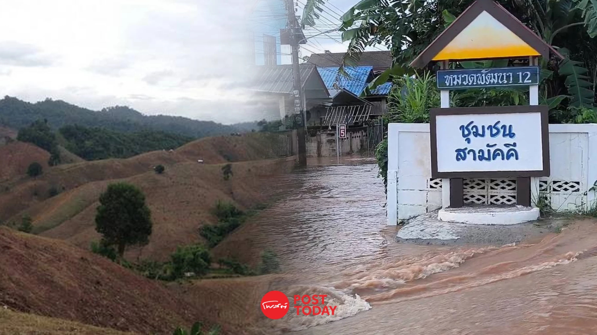 ทั่วไทยอ่วมฝนตกหนัก ผู้เชี่ยวชาญชี้ป่าหัวโล้นต้นเหตุน้ำท่วม ทั่วไทยอ่วมฝนตกหนัก ผู้เชี่ยวชาญชี้ป่าหัวโล้นต้นเหตุน้ำท่วม