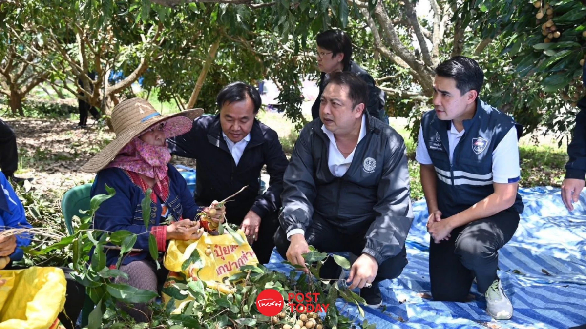 ลำไยล้นตลาด พาณิชย์เร่งแผนดูดซับ–ปั้นส่งออกกู้ราคาตก ลำไยล้นตลาด พาณิชย์เร่งแผนดูดซับ–ปั้นส่งออกกู้ราคาตก