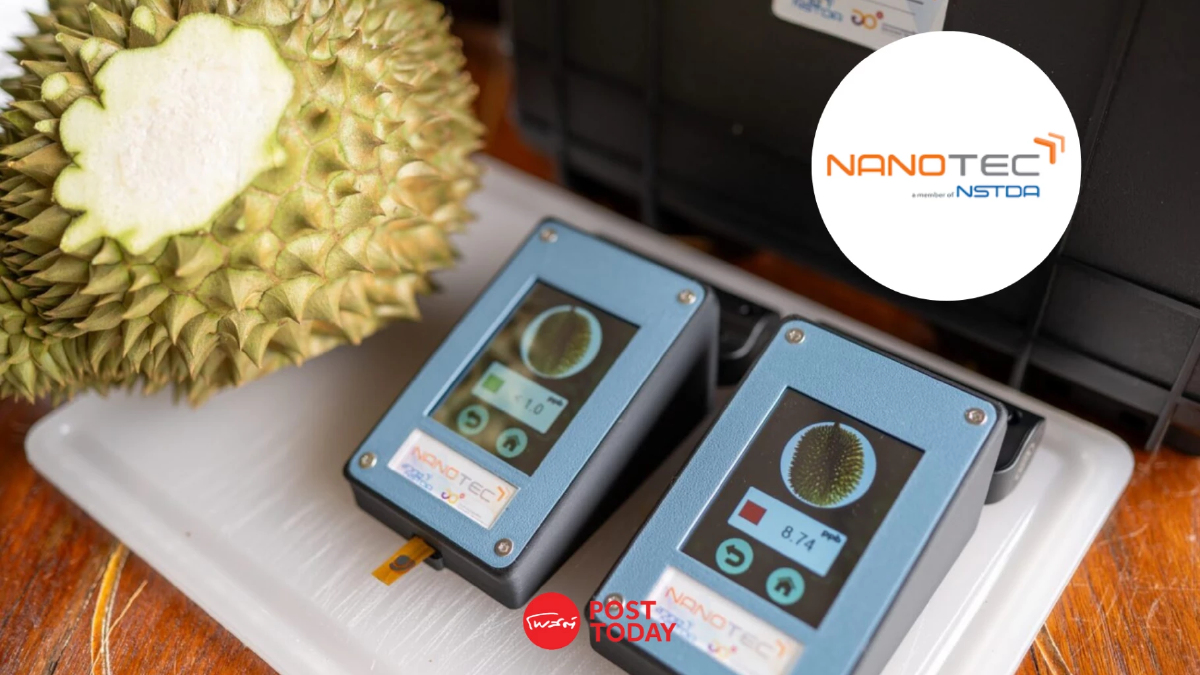 'N-sense' นวัตกรรมไทย ตรวจสาร BY2 ตกค้างในทุเรียน ลดรายจ่าย 10 เท่า 'N-sense' นวัตกรรมไทย ตรวจสาร BY2 ตกค้างในทุเรียน ลดรายจ่าย 10 เท่า