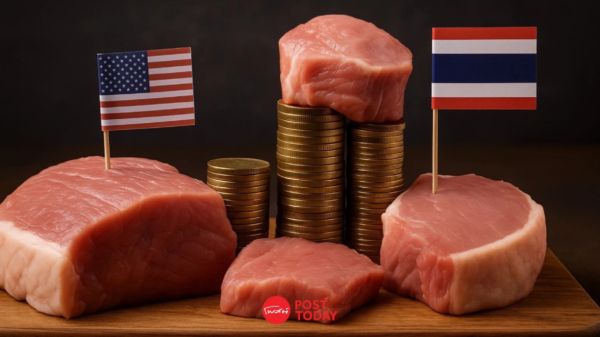 เทียบหมูไทย-หมูสหรัฐ เปิดดีลแลกภาษี กระทบเกษตรกรกว่าแสนราย เทียบหมูไทย-หมูสหรัฐ เปิดดีลแลกภาษี กระทบเกษตรกรกว่าแสนราย