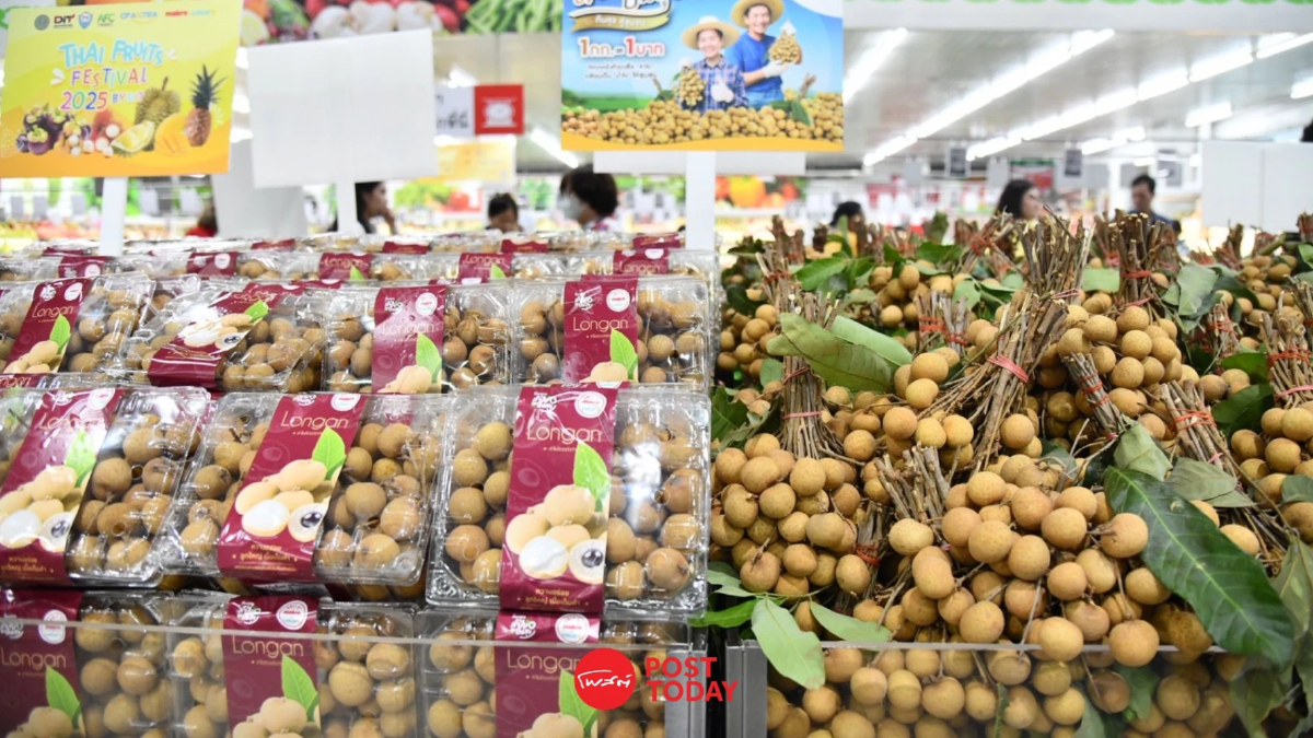ลำไยราคาปรับตัวดีขึ้น พาณิชย์ ผุดมาตรการกระตุ้นตลาดทั่วประเทศ ลำไยราคาปรับตัวดีขึ้น พาณิชย์ ผุดมาตรการกระตุ้นตลาดทั่วประเทศ