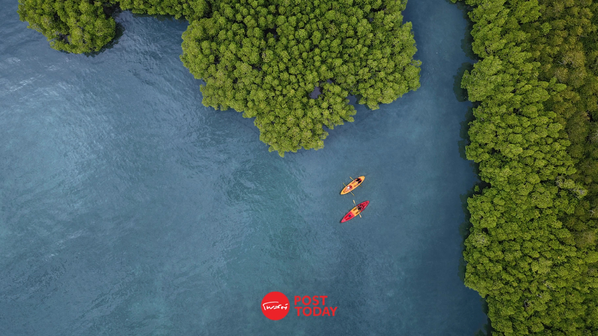 ดื่มด่ำความหรูหราพร้อมรักษ์โลกที่ The Naka Island Phuket ดื่มด่ำความหรูหราพร้อมรักษ์โลกที่ The Naka Island Phuket