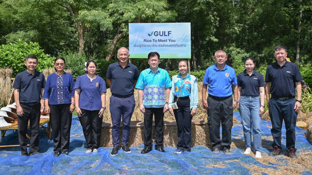 GULF หนุนเกษตรอินทรีย์ ครบรอบ 10 ปี ศูนย์เรียนรู้หนองแซง GULF หนุนเกษตรอินทรีย์ ครบรอบ 10 ปี ศูนย์เรียนรู้หนองแซง